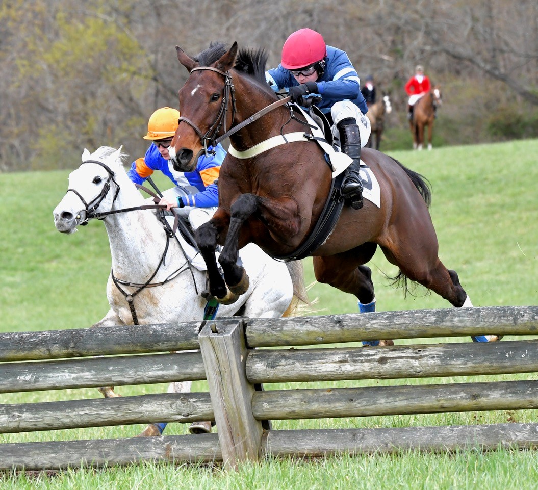 Riverdee Stable&#39;s Lonely Weekend (Tom Garner) won the open timber race. Adelstrop Hill&#39;s Paddy&#39;s Crown (Harrison Beswick) was second. Douglas Lees photo