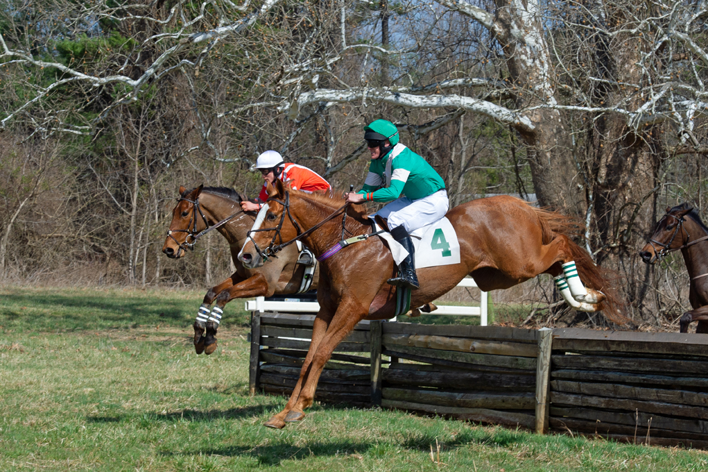 Beverly Steinman&#39;s Be Somebody (Bryan Cullinane) won the novice timber race. Rich Clay photo